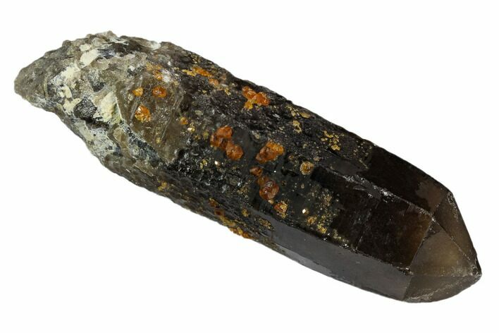 Smoky Quartz Crystal with Spessartine Garnets - China #128921